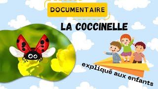 La coccinelle - Documentaire pour les enfants - Sciences ludiques Fiches GRATUITES à imprimer