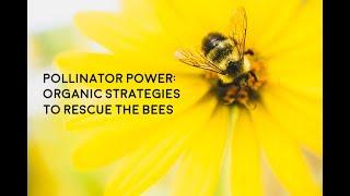 Create a Bee Friendly Backyard: Easy Tips!