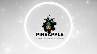 Digital Agency Pineapple - Marketing video intro