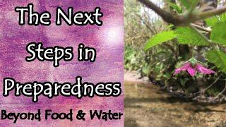 The Next Steps in Preparedness Beyond Food and Water