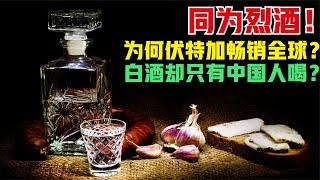 都是烈酒！为何伏特加酒畅销全球，而白酒只有中国人喝