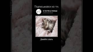 тгк:в гостях у сланца #memes #fyp #youtube #top #shorts #mem #funny #бабкаалка #subscribe #please