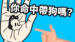 狗與鹿｜你是命中帶狗的人嗎？｜跟狗特別有緣的人都具備這7種特質，最後一個特質你有嗎？