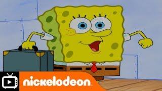 SpongeBob SquarePants | Cruise Life | Nickelodeon UK