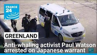 Anti-whaling activist Paul Watson arrested in Greenland on Japan warrant • FRANCE 24 English