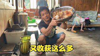 雨锅带弟弟和弟媳去找蘑菇，没用多少时间都满载而归，晚上聚餐大家都说奶浆菌好吃