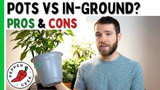 Pots vs. In-Ground Plants? Pros and Cons - Pepper Geek