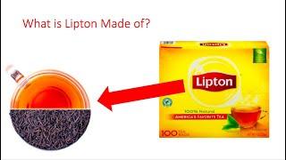 What is Lipton Tea Made of?! **Updated 2021**