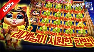 [슬롯][온라인슬롯][SLOT] 클레오캐트라 시원한 한방!! 5,000배 맥스윈 후기 슬롯넷