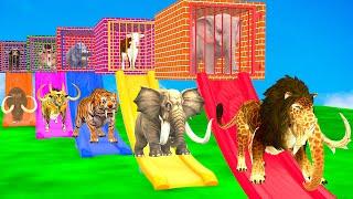 Long Slide Game With Elephant Gorilla Buffalo Hippopotamus Tiger 3d Animal Game Funny 3d Animals