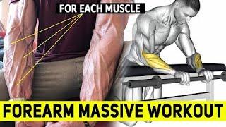 PERFECT EXERCISES FOREARM WORKOUT - Unseen Fitness Vision