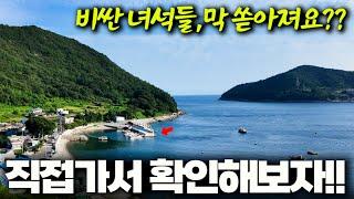 800Km의 대 장정!! 그 맛있다는 녀석들이 요즘 여기저기 막 잡힌다고?? 그래서 가봤더니!!  (박선비TV)