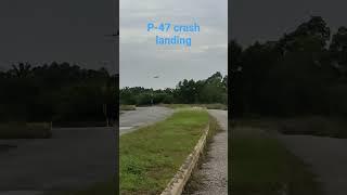 Giant P-47. Air retracts failure . Belly landing.