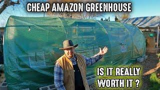 Cheap Amazon Walk-In Greenhouse (Easy Build) |  Is It Worth It? My Thoughts, Opinions & Experiences