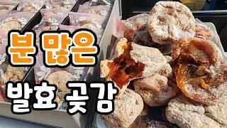 분 많은 발효 곶감 실시간 생방송