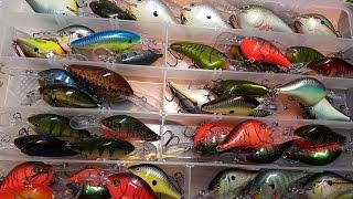 I'm addicted to crankbaits - Rapala DT Series