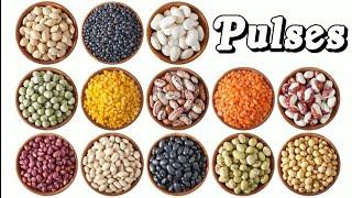 Pulses name | Pulses in english and legumes in hindi | Pulses name hindi | दालों की  नाम | Dal names