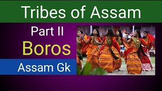 Tribes of Assam part-II | Bodos | असम के जनजाति (भाग 2) - बोड़ो | Assam Gk | Northeast Gk |