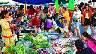 Food Rural TV, Popular Early Moring Fish and Vegetable Market,  Cambodian Routine Food & Lifestyle