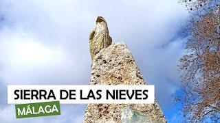 SIERRA DE LAS NIEVES - Málaga