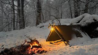 Surviving a Freezing Night in the Wild Forest: Bushcraft Camping at -14°C Without Sleeping Bag