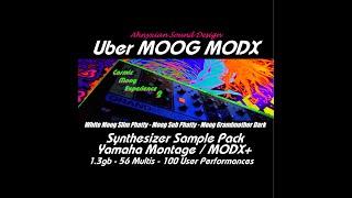 Cosmic Moog Experience 2 Uber MOOG MODX Sample Pack Yamaha Montage Synthesizer