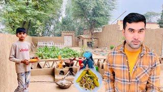 Most Delicious Village food | Pakistan Village Life | Shoaib Maharzada