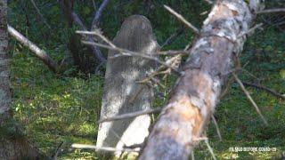 Summertime ghost stories at the haunted cemetery in Julie's Harbour: Food 'n Fun, Ep. 5