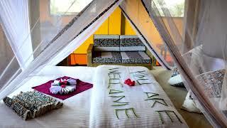 Lake Manyara Accommodation | Africa Safari