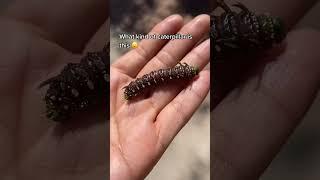 Discover the Beauty of Transformation