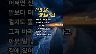 말 없이 건네는 마음 #마음의 소리 #공감 #좋은글 #쉼#구독과좋아요