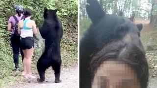 Gefährliche Aktion: Junge Frau schießt Selfie mit Schwarzbären