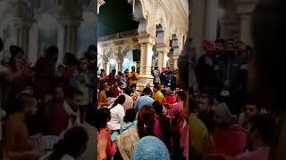 Hare Krishna Kirtan in Vrindavan #kirtan #vrindavan #iskcon #darshan #krishna #radhakrishna