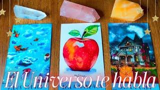 El Universo tiene un mensaje para ti • 2025. Lectura de Cartas y Canalizaciones . Tarot Interactivo