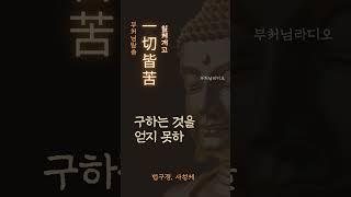 일체개고(一切皆苦) | 부처님말씀 | 석가모니명언 | 인생지혜 | 명상의말씀
