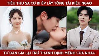 Tiểu thư sa cơ bị ép lấy tổng tài kiêu ngạo, từ oan gia lại trở thành định mệnh của nhau