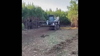 HM70DR Forestry Mulcher & Bobcat T770 In Action! #shorts