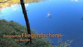 Entspanntes Fliegenfischen im Herbst