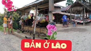 THE TRUTH ABOUT BUSINESS IN LAOS AND MONEY-MAKING JOBS AT THIS TIME