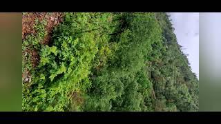 14 Nali Himalaya view commercial land for Sale malla ramgarh nainital, Uttrakhand