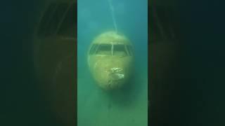 The Story of a Crashed Plane: Exploring Mysteries of Underwater Norman's Cay #ytshorts #shortsfeed