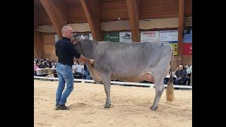 Toggenburger Herbstschau 2024 Miss OB Wahl