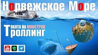 Троллинг • Охота на морских монстров • Русская Рыбалка 4 • Норвежское Море