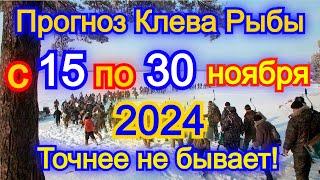 Календарь клева с 15 по 30 ноября 2024 Прогноз клева рыбы Лунный  Календарь рыбака 2024!