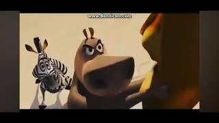 Madagascar (2005) - Alex Gets Mad At Marty!