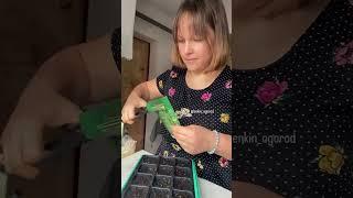 Больше историй в телеграм-канале ЛЕНКИН ОГОРОД. Ссылка в описании