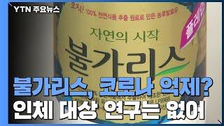 남양유업 '불가리스 코로나 억제' 주장..."효과 없고 성급한 발표" 비판 / YTN