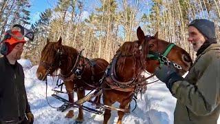 A CONVERSATION WITH CHAD VOGEL... Meet our Suffolk Punch Horses' Father!! #791