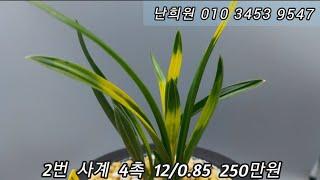 12월22일 명명품과 종자목으로 소개합니다 ^^