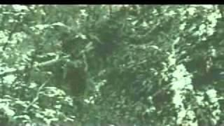 David Belle & Stephane Vigroux (rare video)